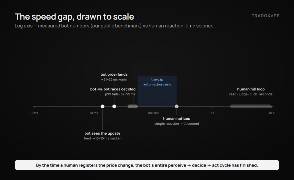 Log-scale timeline of Polymarket reaction speed — bot feed at 13 to 15 milliseconds and orders at 21 to 23 milliseconds versus human reaction at a quarter second and a full manual loop measured in seconds.