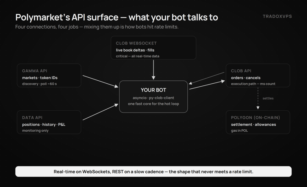 Polymarket bot API architecture — the bot connects to the CLOB WebSocket for real-time data, the CLOB API for orders, the Gamma API for market discovery, the Data API for monitoring, with settlement on Polygon.