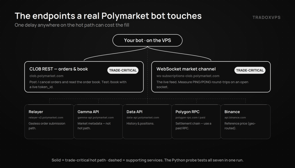 Map of the seven endpoints a Polymarket bot touches, with the CLOB REST API and WebSocket market channel marked trade-critical