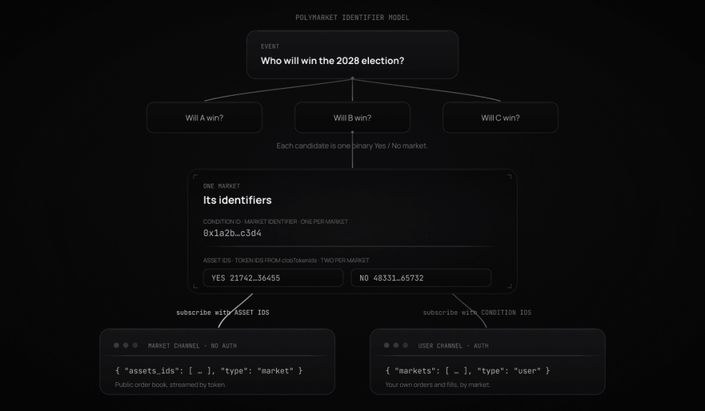 Diagram of Polymarket's identifier model. An event contains several binary Yes or No markets. Each market has one condition ID as its market identifier and two asset IDs, or token IDs, from the clobTokenIds field. The market websocket channel subscribes using the asset IDs, and the user channel subscribes using the condition IDs.