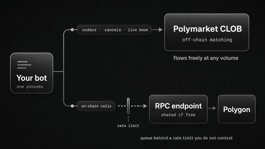 A Polymarket bot's two separate network paths drawn as pipes. The upper pipe carries orders, cancels and the live book to the Polymarket CLOB at full width with requests flowing evenly. The lower pipe carries balances, allowances and collateral moves, and narrows sharply at a rate-limit gate before reaching an RPC endpoint and Polygon, with requests backed up behind the gate.
