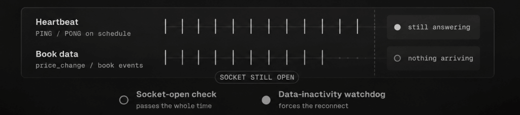 Two timelines for a Polymarket WebSocket. The heartbeat continues ticking evenly the whole way across, while book data ticks then stops partway and never resumes, with the socket still open. A socket-open check passes throughout; a time-since-last-data watchdog forces the reconnect.