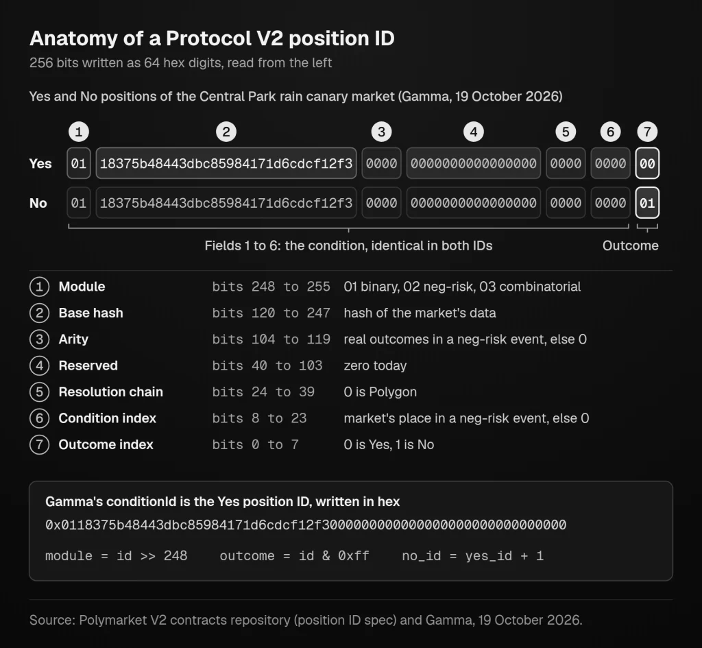 Anatomy of a Polymarket Protocol V2 position ID: 64 hex digits split into module, base hash, arity, reserved bits, resolution chain, condition index and outcome index, shown on the Yes position of a Central Park rain canary market. The condition ID is the same number with outcome index 0.