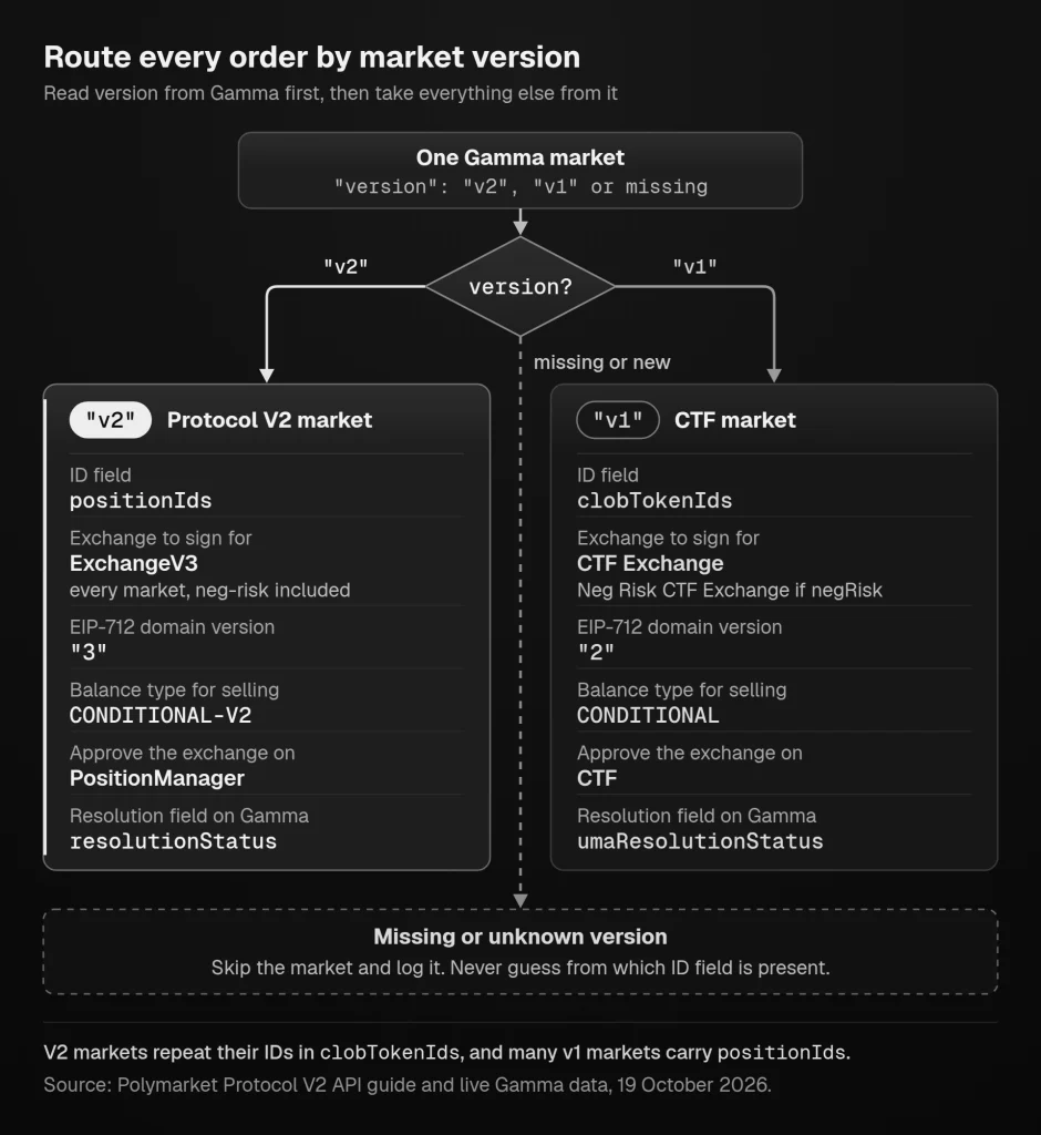 Polymarket Protocol V2 order routing: read the Gamma market's version. V2 markets take positionIds, sign for ExchangeV3 with domain version 3, read balances as CONDITIONAL-V2 and approve on PositionManager. V1 markets take clobTokenIds, sign for the CTF exchanges with version 2, use CONDITIONAL and approve on CTF. Markets with a missing or unknown version are skipped.